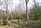 Additional image 4 of Great Wood, Stocksfield, Northumberland. NE42