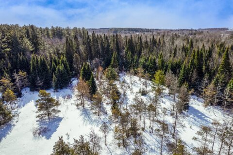 Additional image 8 of PtLt 19 First Line, Erin, ON, L0N 1N0