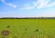 Additional image 19 of Annesley Lane, Selston, Nottingham, Nottinghamshire, NG16 6AJ