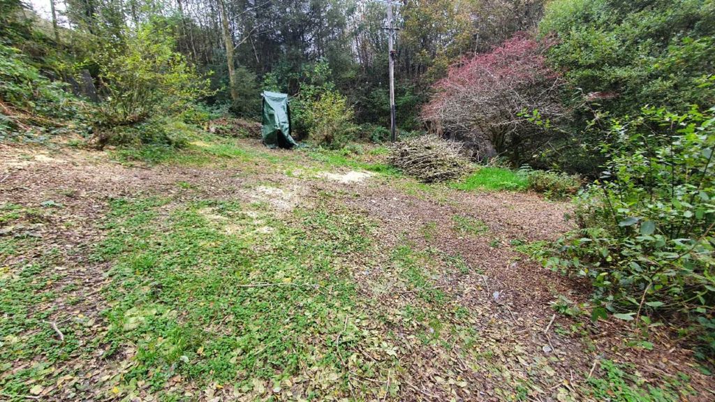 Additional image 18 of Land for saleUpper Corris, Machynlleth SY20