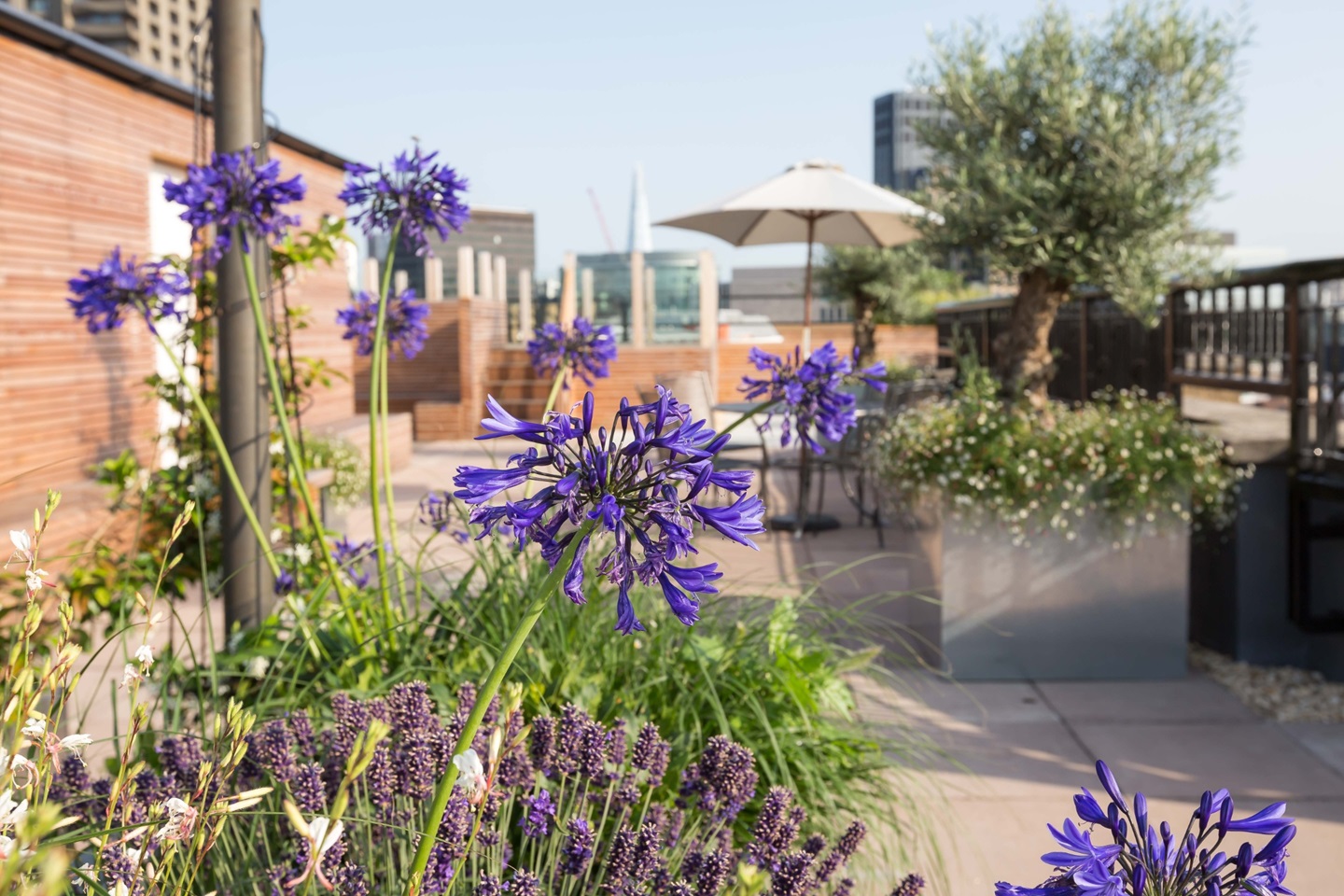 Additional image 12 of Studio Flat, Florin Court, EC1M, N1 7GU