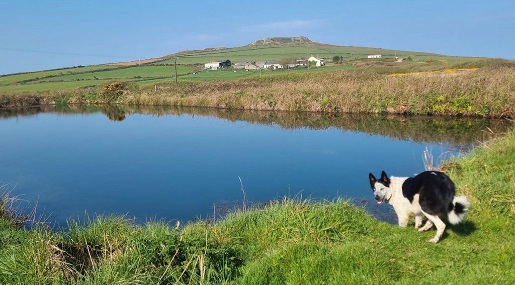 6 bed barn conversion for saleLlanferran Farm, Rhodiad, St Davids SA62 photo 4