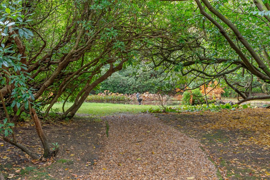 Additional image 23 of 9 bed detached house for saleMill Lane, Ascot SL5