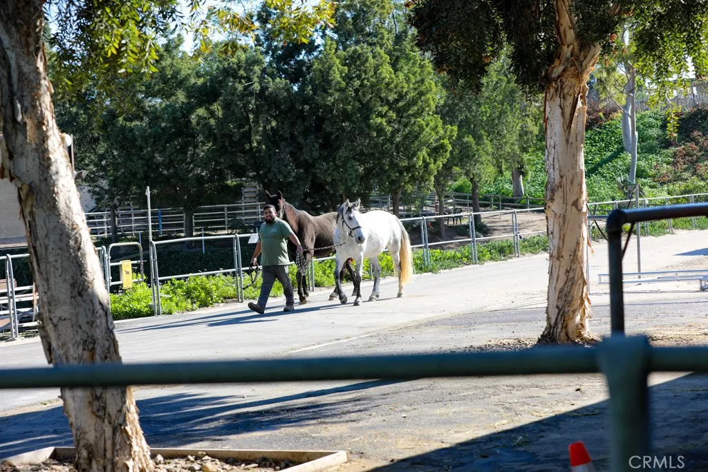 Additional image 42 of 2313 Via Puerta Unit Q, Laguna Woods, CA 92637