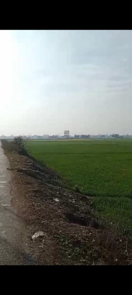 Bargadwa, Gorakhpur