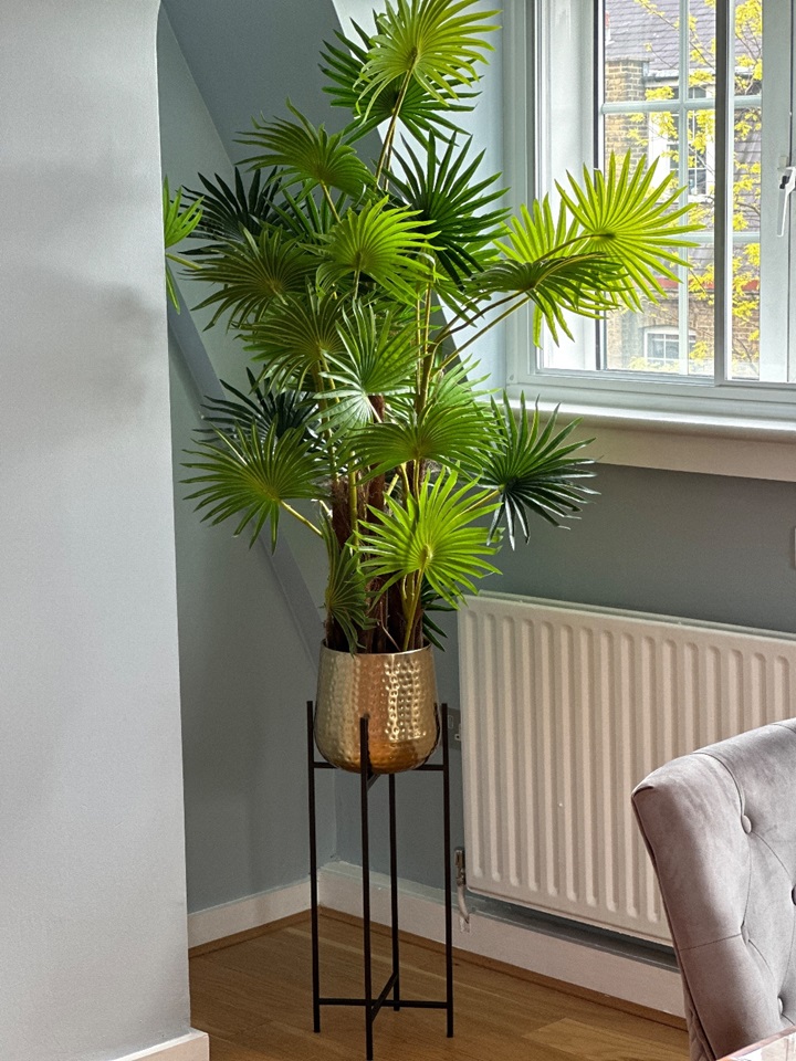 Additional image 9 of 1 Bed Flat, Beaufort Street, SW3, N1 7GU