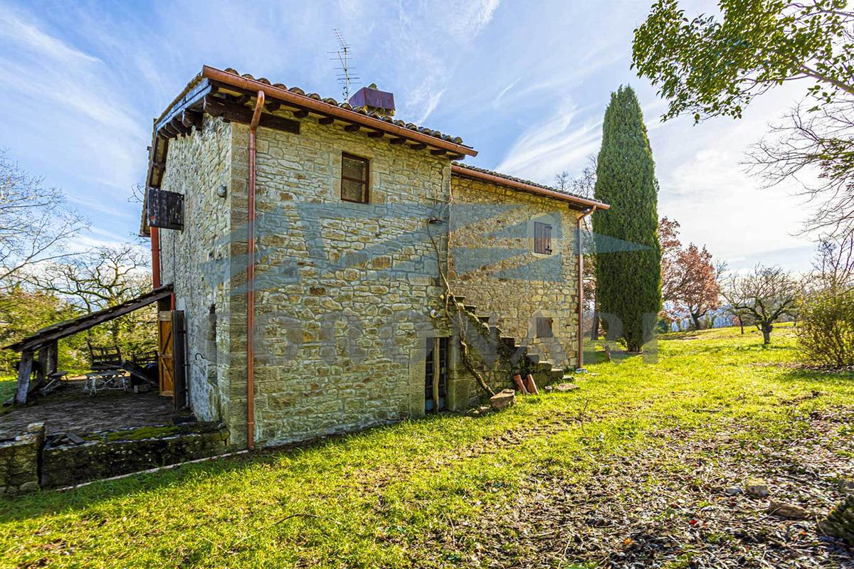 Additional image 18 of Todi (Perugia)