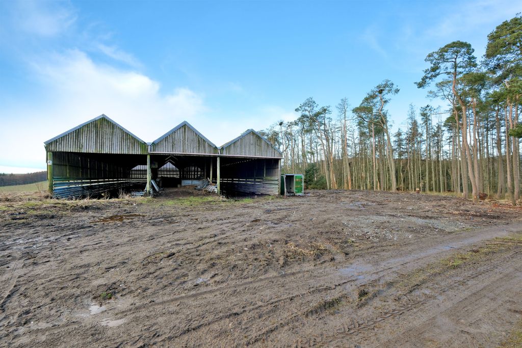 Farm for saleDellavarid, Auchenblae AB30 photo 4