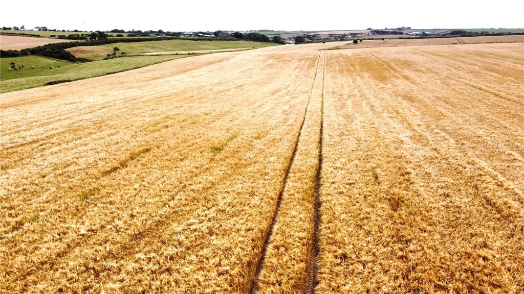 Additional image 4 of Land for saleLand At Buckton, Bridlington, East Yorkshire YO15