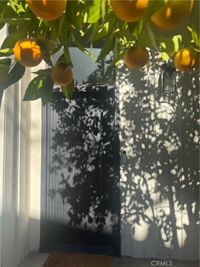 Additional image 87 of 11551 Decente Dr, Studio City, CA 91604