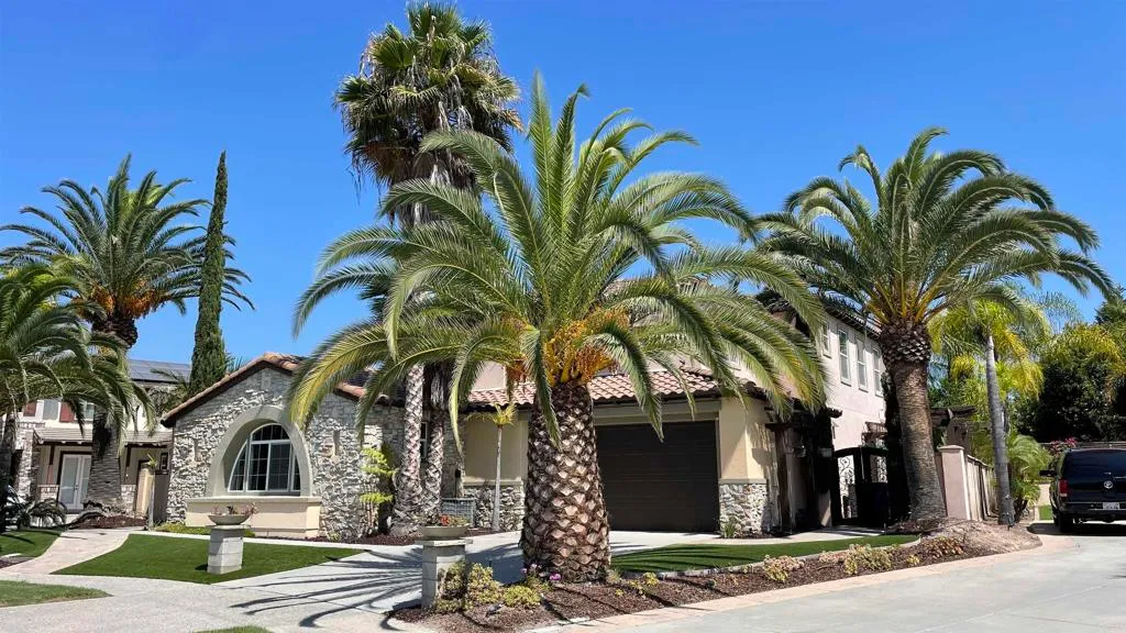 Additional image 50 of 1050 White Alder Avenue, Chula Vista, CA 91914