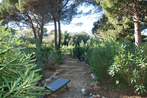 Additional image 4 of La Croix-Valmer (Var)