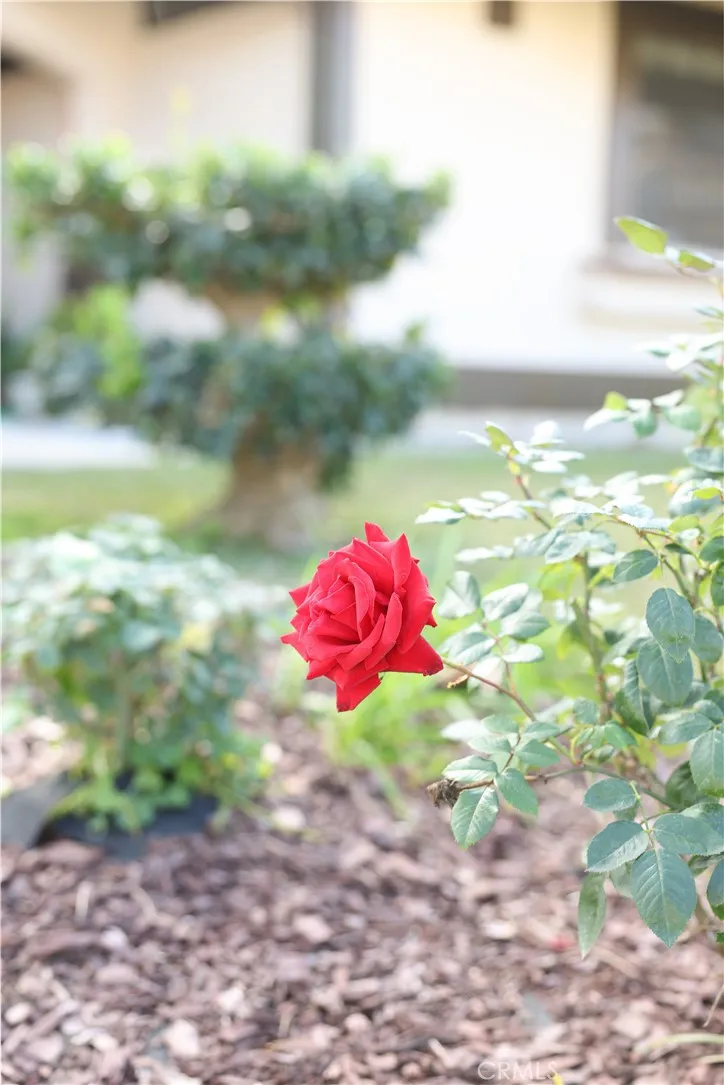 Additional image 57 of 183 S Starflower St, Brea, CA 92821