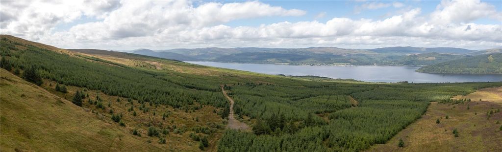 Additional image 9 of Land for saleSt. Catherines Forest, Cairndow, Cowal Peninsula, Argyll & Bute PA25