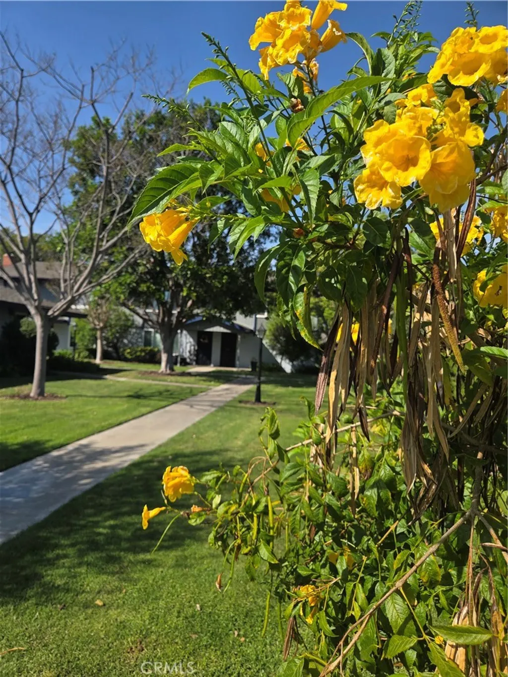 Additional image 30 of 1107 W Memory Lane Unit 6C, Santa Ana, CA 92706