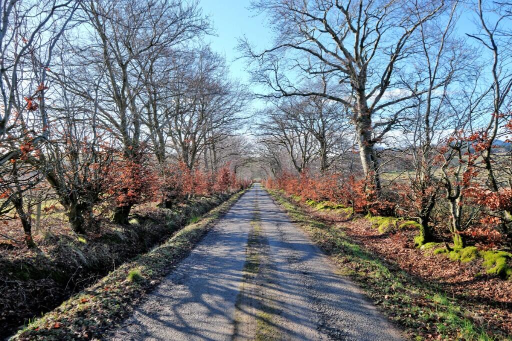 Additional image 14 of Chapelton Farm, Dellavaird, Auchenblae, AB30 1UD