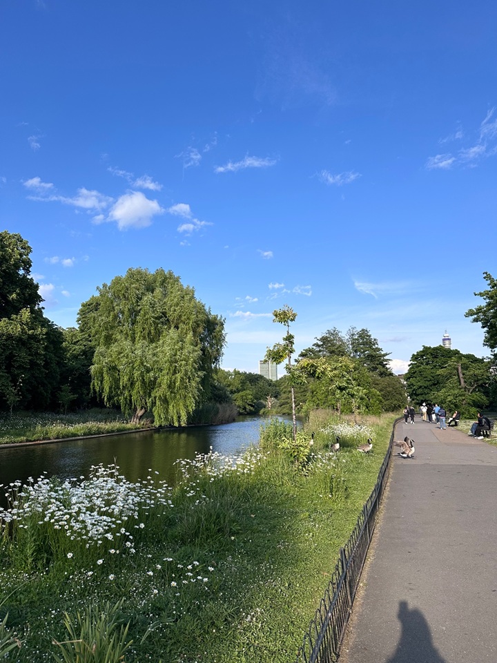 Additional image 2 of Room in a Shared Flat, Transept St, NW1, N1 7GU