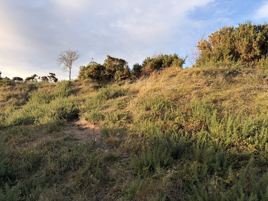 Additional image 3 of Land for salePlot 6, North Whins, The Park Eco-Village, Findhorn, Forres IV36