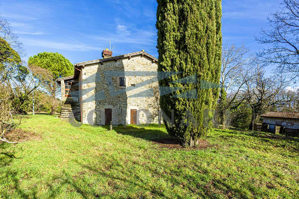 Additional image 15 of Todi (Perugia)