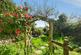 Additional image 3 of Sunny Corner, Coverack, Helston, Cornwall, TR12
