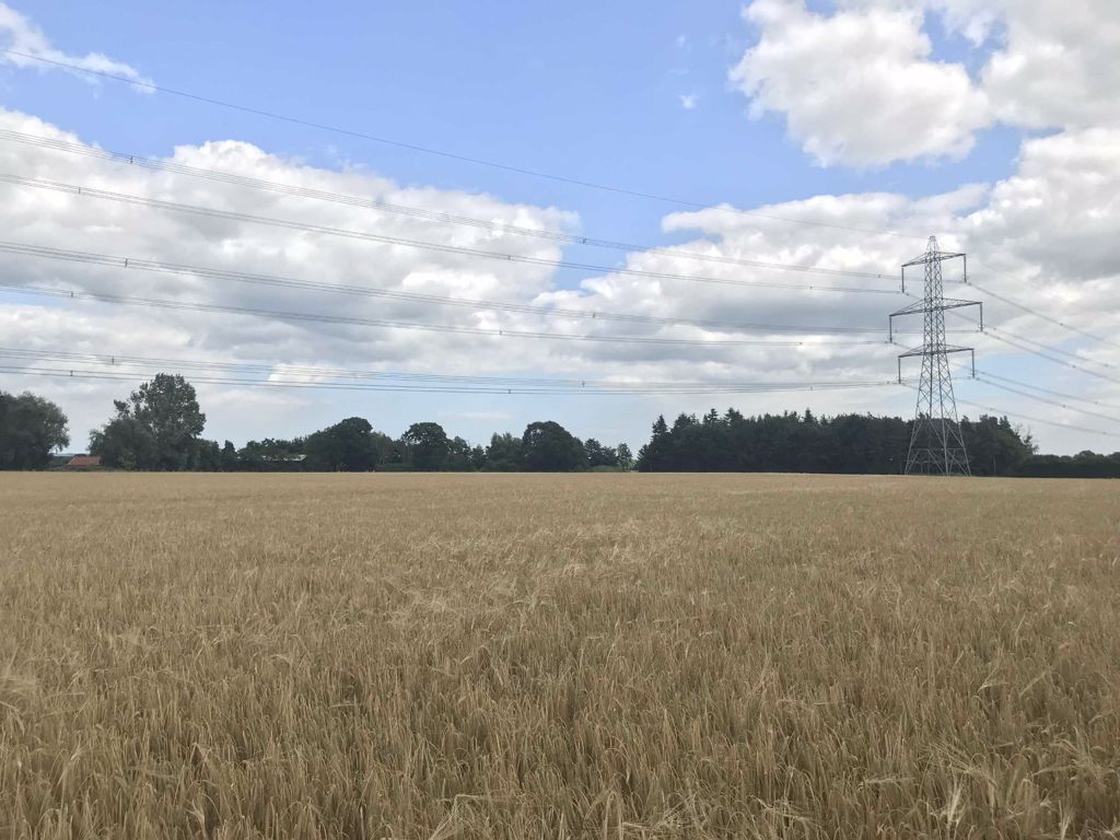 Land for saleBirker Lane, Wilberfoss, York YO41