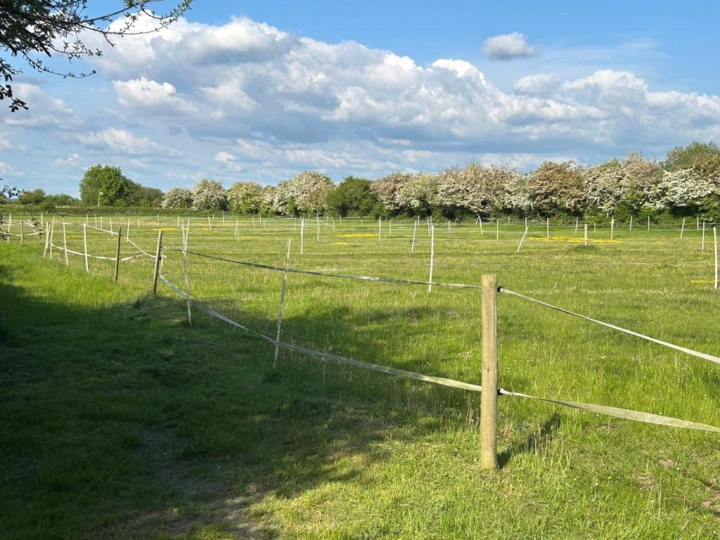 Land for saleMoor Road, Banwell, North Somerset BS29