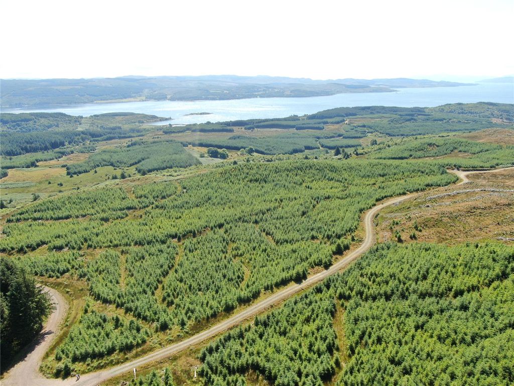 Land for saleAchnaba Forest, Lochgilphead, Argyll And Bute PA31