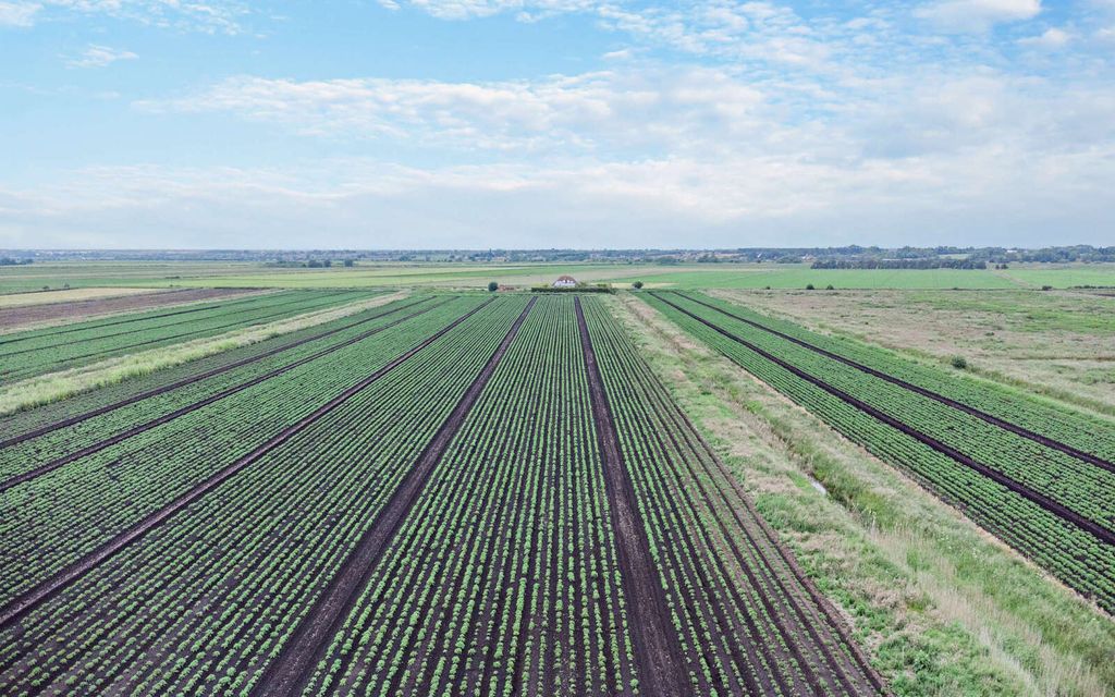 Land for saleBranston Booth, Middle Fen Lane, Washingborough, Lincoln LN4