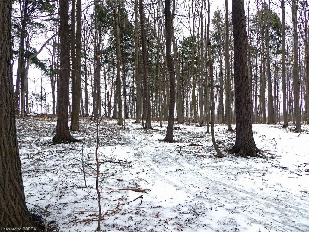 Additional image 6 of 8949 Wellington Road 22 Road, Erin, ON, N0B 1Z0