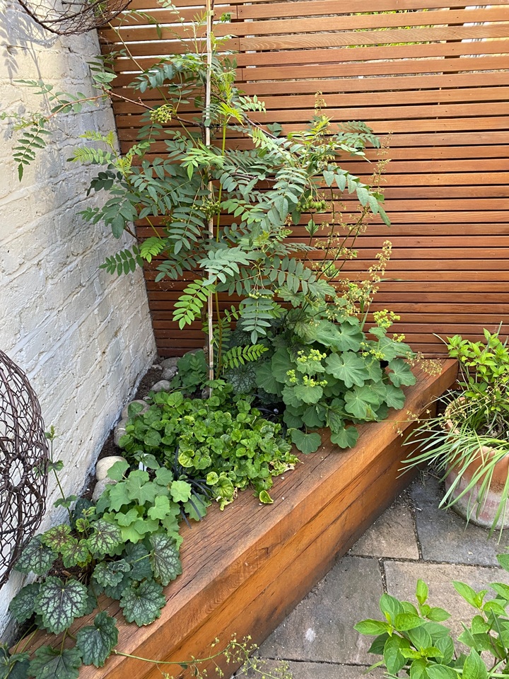 Additional image 16 of 2 Bed Flat, Oakley Place, SE1, N1 7GU