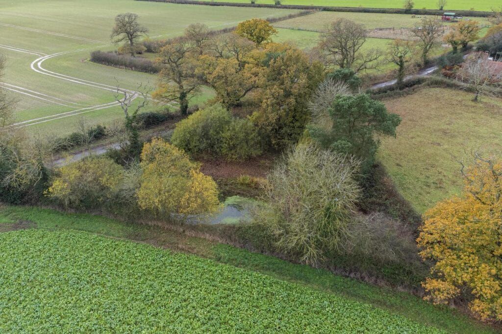 Additional image 56 of 6 bed link detached house for saleHawthorn House, Dereham, Norfolk NR20