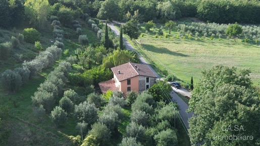 Additional image 9 of Monte Castello di Vibio (Perugia)
