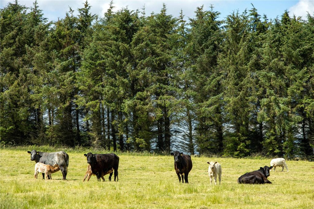 Additional image 7 of Land for saleOld Mill Farm, Strichen, Fraserburgh, Aberdeenshire AB43