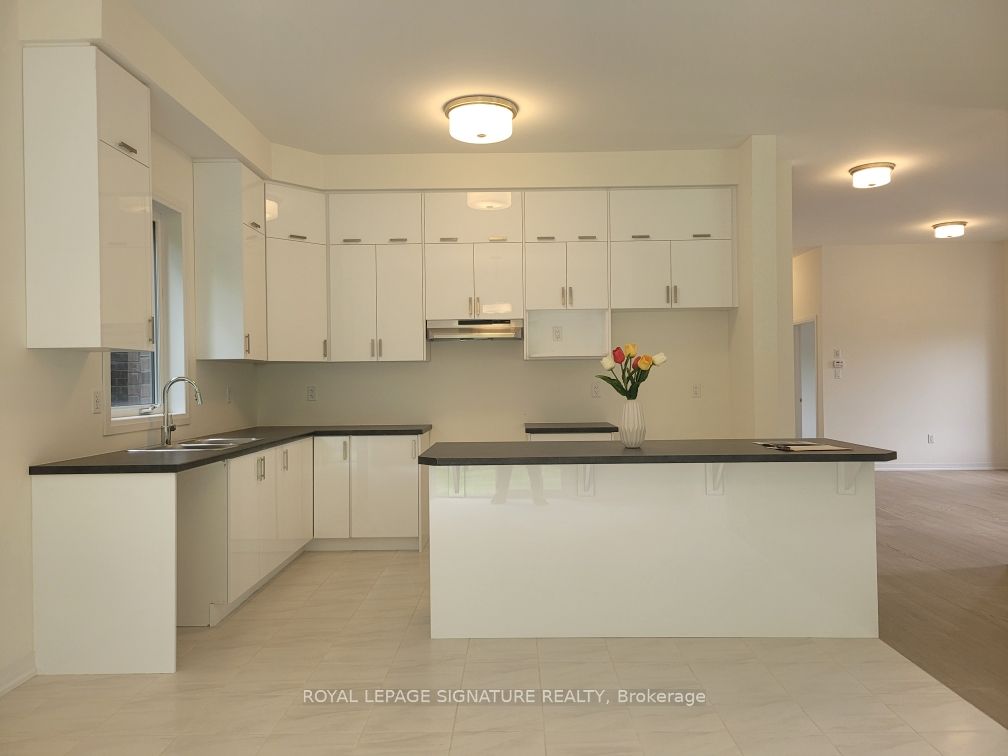 Additional image 4 of 95 Macklin Street