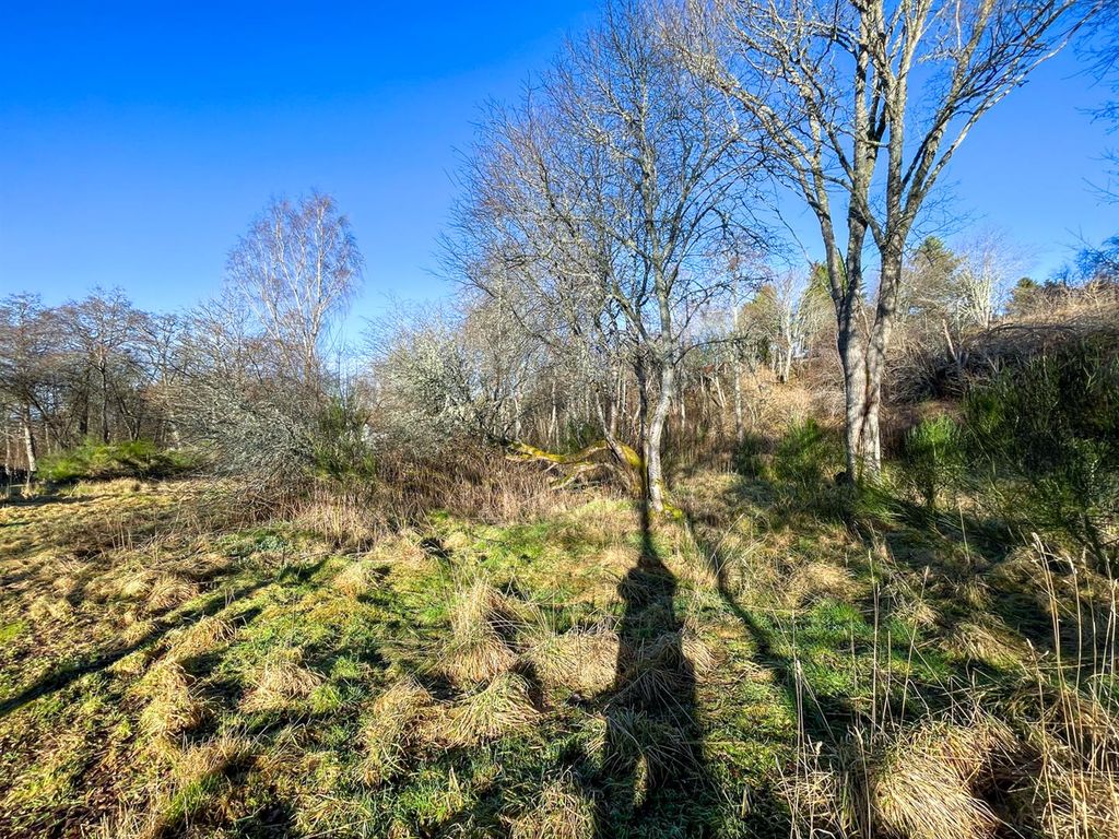 Additional image 6 of Land for saleHouse Site, Mill Lane, Nethy Bridge PH25