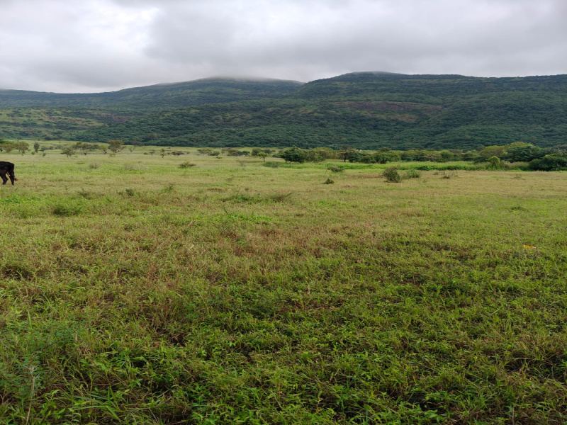 Maval, Pune