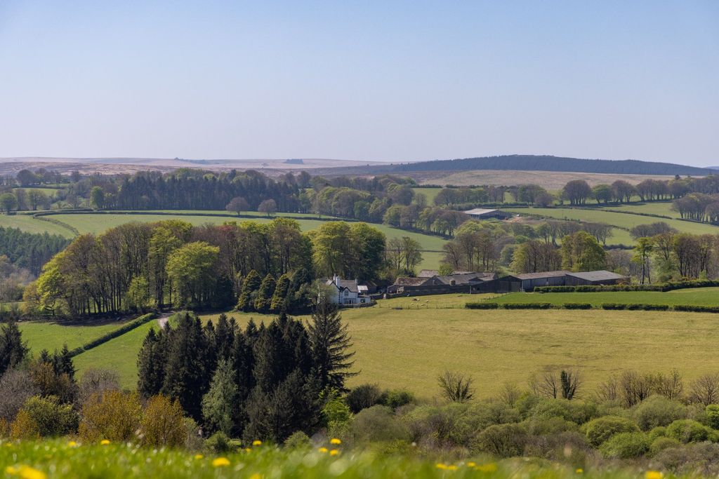 Land for saleWidecombe-In-The-Moor, Newton Abbot, Devon TQ13