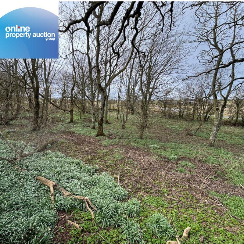 Additional image 11 of Tyrie Church Woodland, Fraserburgh, AB43 6SQ