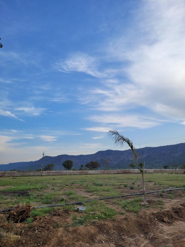 Additional image 3 of Siliserh, Alwar