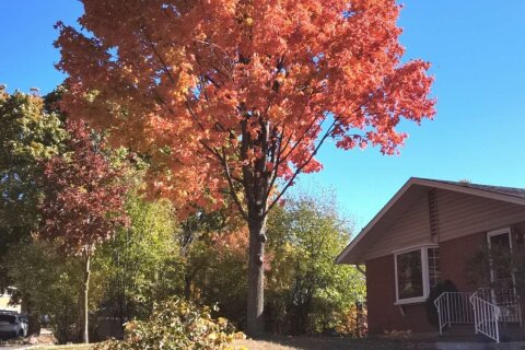 Additional image 8 of 239 Winfield Avenue, Waterloo, ON, N2J 3M8