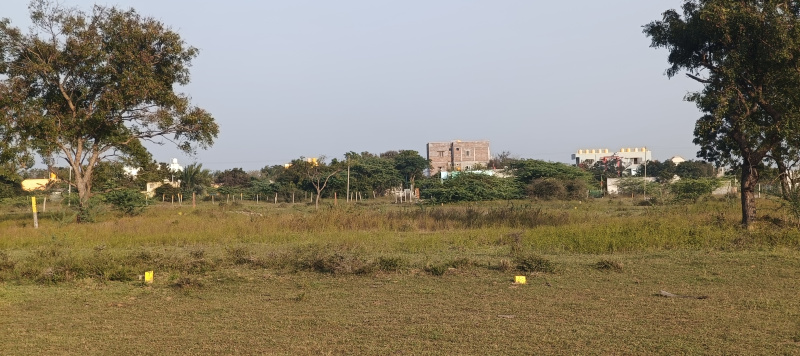 Additional image 3 of padappai, Chennai