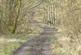 Additional image 2 of Great Wood, Stocksfield, Northumberland. NE42