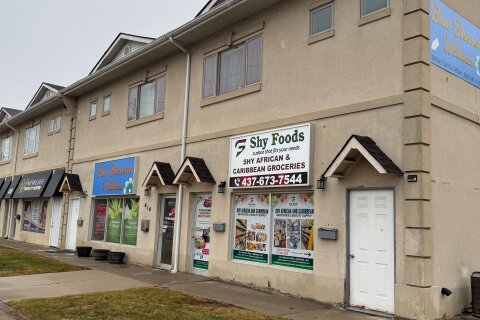 Additional image 8 of 414 Plains Road E, Burlington, ON, L7T 2C8