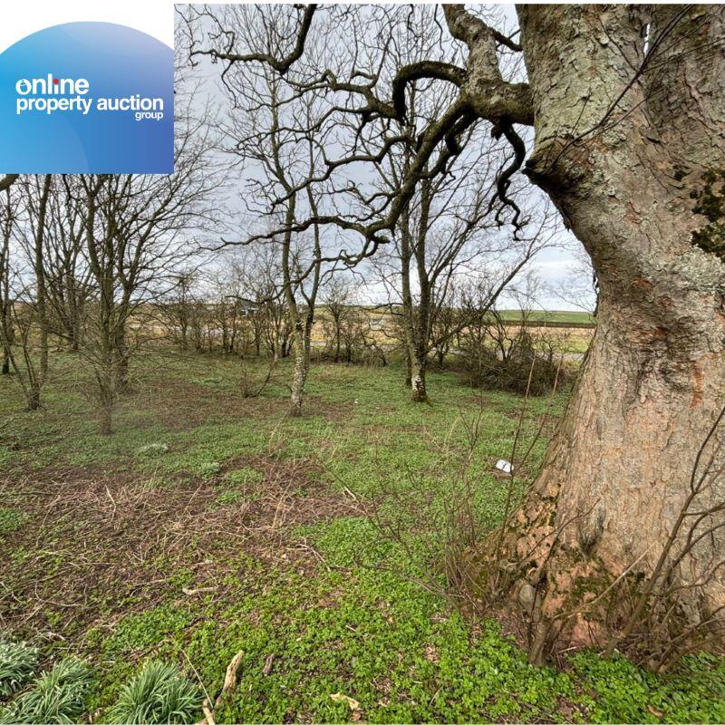 Additional image 9 of Tyrie Church Woodland, Fraserburgh, AB43 6SQ