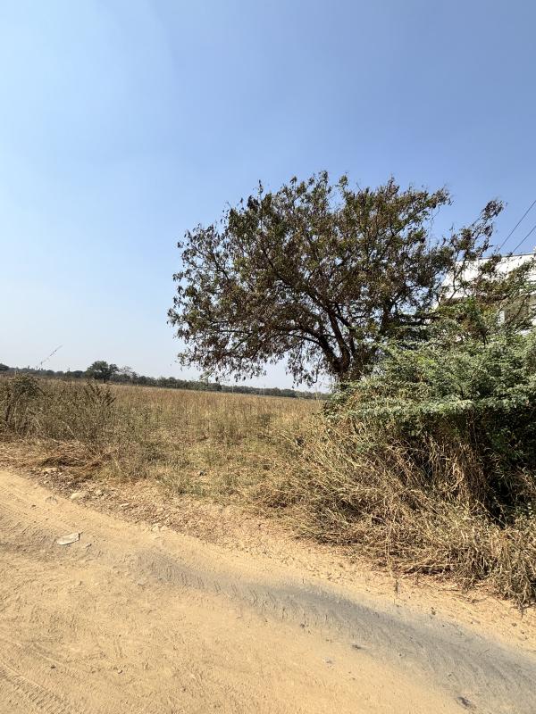 Additional image 2 of Rudraram, Hyderabad