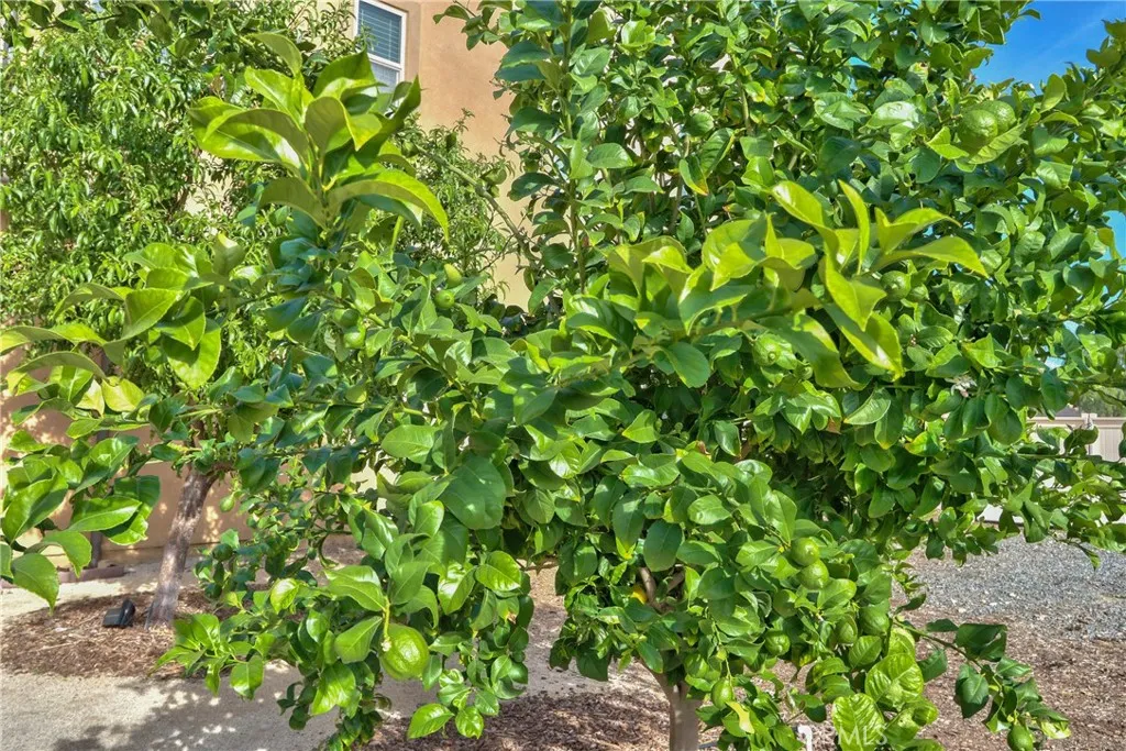 Additional image 99 of 32640 Cougar Pass Court, Winchester, CA 92596