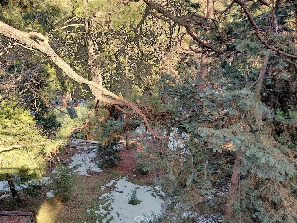 Additional image 22 of 729 E Victoria Court, Lake Arrowhead, CA 92352