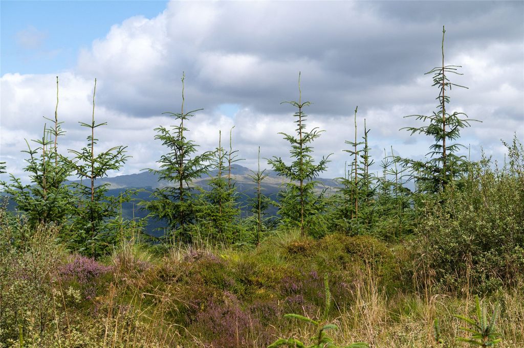 Additional image 8 of Land for saleSt. Catherines Forest, Cairndow, Cowal Peninsula, Argyll & Bute PA25