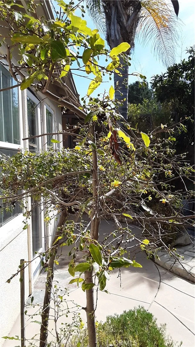 Additional image 66 of 4443 Cherry Grove, Riverside, CA 92501