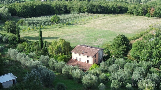 Additional image 8 of Monte Castello di Vibio (Perugia)